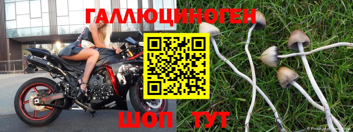 Галлюциногенные грибы Cubensis  продажа наркотиков  Мичуринск  Вход с VPN  Псилоцибиновые грибы мухоморы 