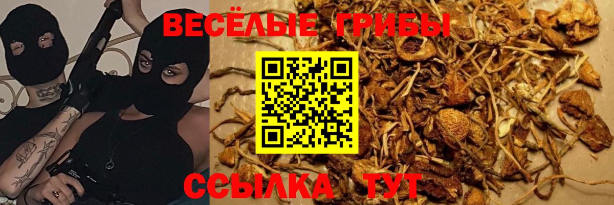 Галлюциногенные грибы Magic Shrooms Мичуринск