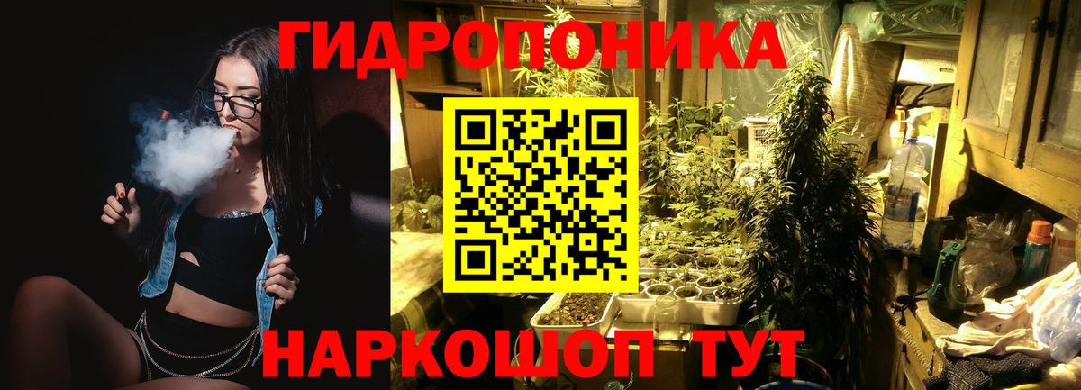 Канабис ГИДРОПОН Мичуринск